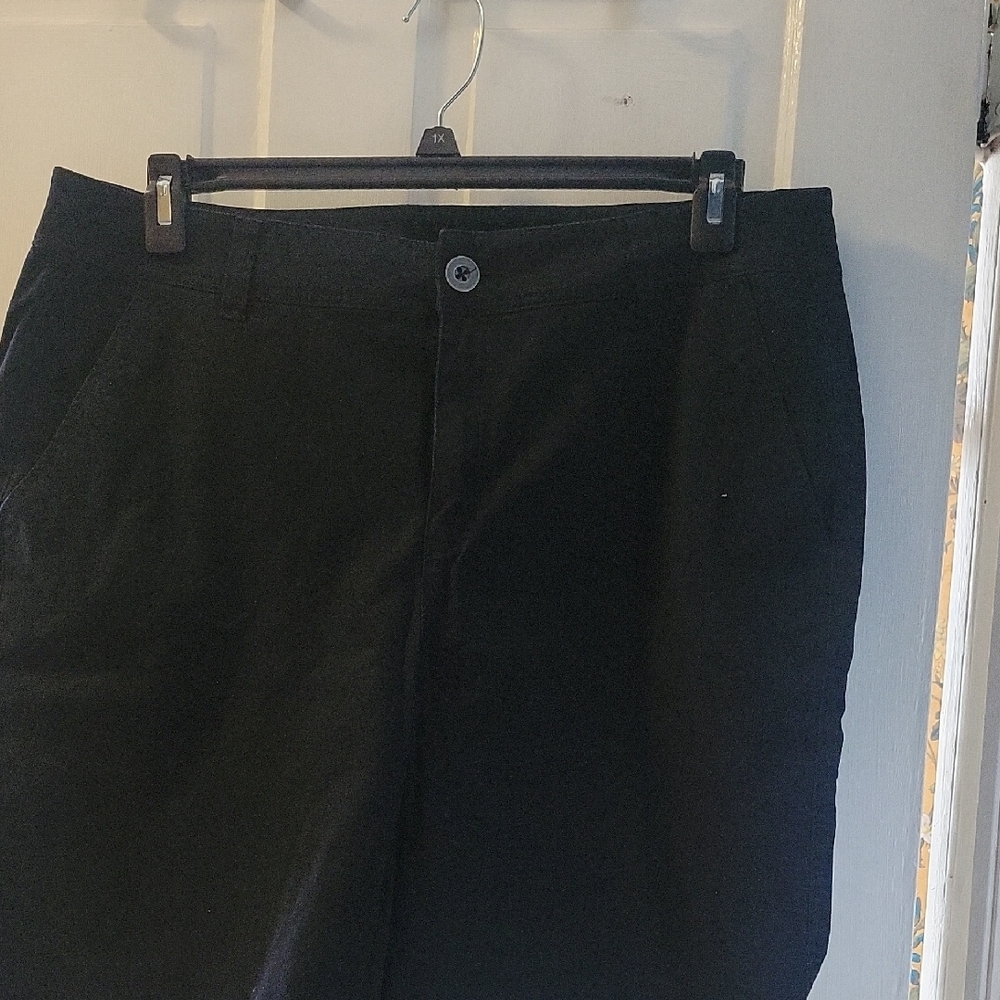 Lane Bryant Men's Dark Shorts